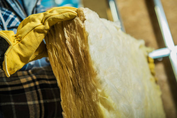 Best Local Insulation Services  in Onawa, IA