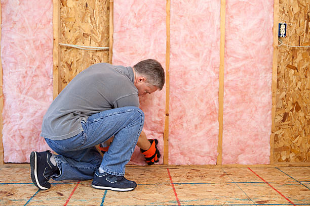 Professional Insulation Contractor in Onawa, IA